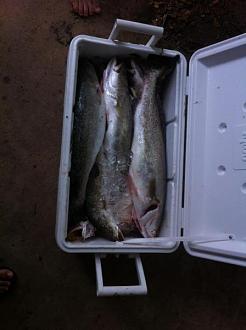 Click image for larger version

Name:	gsgsurf16.jpg
Views:	1
Size:	28.9 KB
ID:	572256