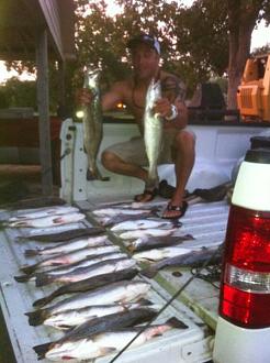 Click image for larger version

Name:	gsgsurf17.jpg
Views:	1
Size:	42.3 KB
ID:	572257