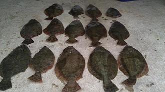 Click image for larger version

Name:	gsgsurf18.jpg
Views:	1
Size:	64.0 KB
ID:	572258