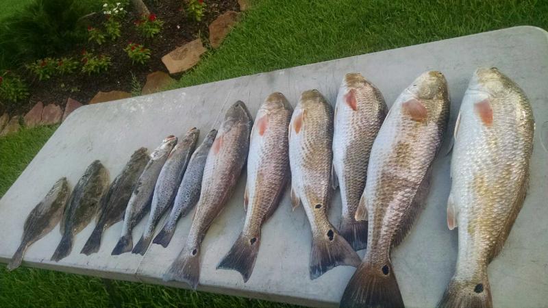 Click image for larger version

Name:	IMG_20150623_195051091.jpg
Views:	1
Size:	64.1 KB
ID:	576445