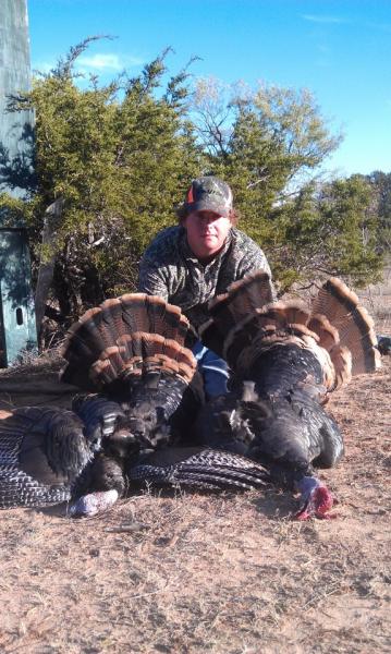 Click image for larger version

Name:	turkeys.jpg
Views:	2
Size:	58.8 KB
ID:	570850