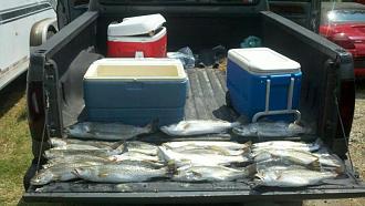 Click image for larger version

Name:	014.jpg
Views:	1
Size:	56.4 KB
ID:	571810