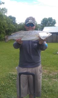 Click image for larger version

Name:	012.jpg
Views:	1
Size:	11.9 KB
ID:	571809