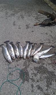 Click image for larger version

Name:	5-163.jpg
Views:	1
Size:	48.6 KB
ID:	571807