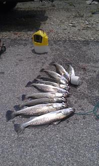 Click image for larger version

Name:	5-162.jpg
Views:	1
Size:	47.6 KB
ID:	571806