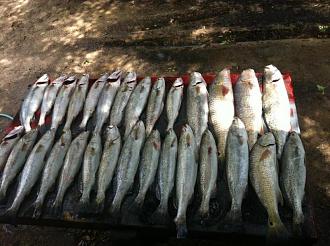 Click image for larger version

Name:	5-156.jpg
Views:	1
Size:	81.1 KB
ID:	571804