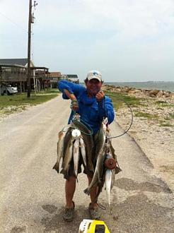 Click image for larger version

Name:	5-154.jpg
Views:	1
Size:	40.0 KB
ID:	571802