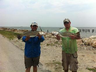 Click image for larger version

Name:	5-153.jpg
Views:	1
Size:	61.6 KB
ID:	571801