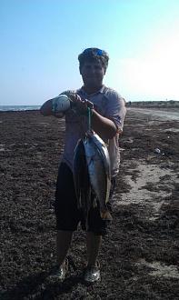 Click image for larger version

Name:	5-141.jpg
Views:	1
Size:	35.5 KB
ID:	571799