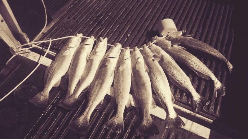 Click image for larger version

Name:	IMG_20150802_162114.jpg
Views:	1
Size:	63.5 KB
ID:	576438