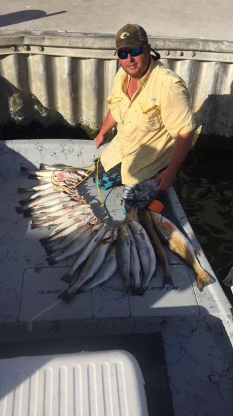 Click image for larger version

Name:	IMG950079.jpg
Views:	1
Size:	31.6 KB
ID:	576439