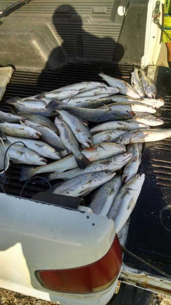 Click image for larger version

Name:	IMG_20150801_081441984_HDR.jpg
Views:	1
Size:	38.5 KB
ID:	576437