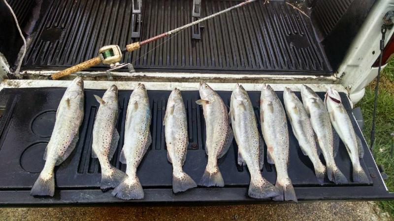 Click image for larger version

Name:	IMG_20150731_093622771_HDR.jpg
Views:	1
Size:	79.7 KB
ID:	576436