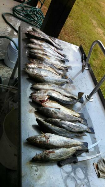 Click image for larger version

Name:	IMG_20150715_134526_892.jpg
Views:	1
Size:	40.5 KB
ID:	576434