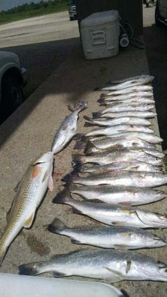 Click image for larger version

Name:	IMG_20150709_120132604.jpg
Views:	1
Size:	37.8 KB
ID:	576433