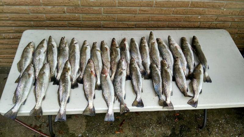 Click image for larger version

Name:	IMG_20150705_105403619_HDR.jpg
Views:	1
Size:	76.5 KB
ID:	576432