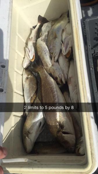 Click image for larger version

Name:	IMG_0074.jpg
Views:	1
Size:	30.1 KB
ID:	576426