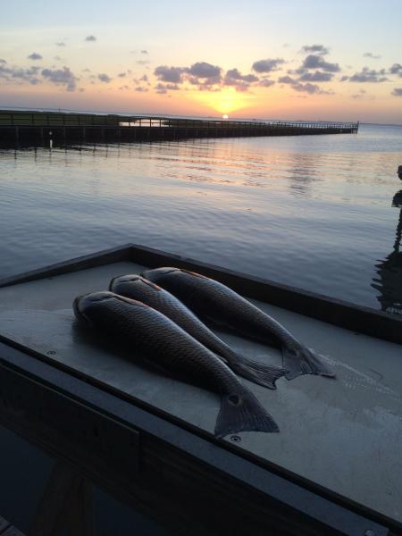 Click image for larger version

Name:	2015-07-17 20.18.29.jpg
Views:	1
Size:	29.6 KB
ID:	562121