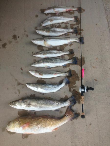 Click image for larger version

Name:	troutslp 63.jpg
Views:	1
Size:	36.1 KB
ID:	574376