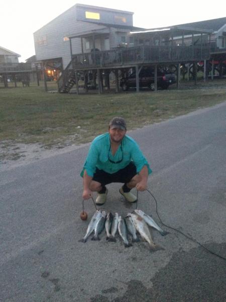 Click image for larger version

Name:	63pm.jpg
Views:	1
Size:	34.8 KB
ID:	574374