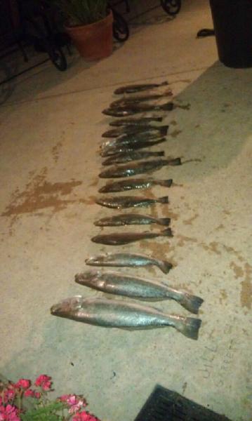 Click image for larger version

Name:	62am.jpg
Views:	1
Size:	27.7 KB
ID:	574373