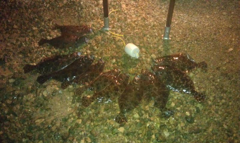 Click image for larger version

Name:	gig931.jpg
Views:	1
Size:	69.2 KB
ID:	574651