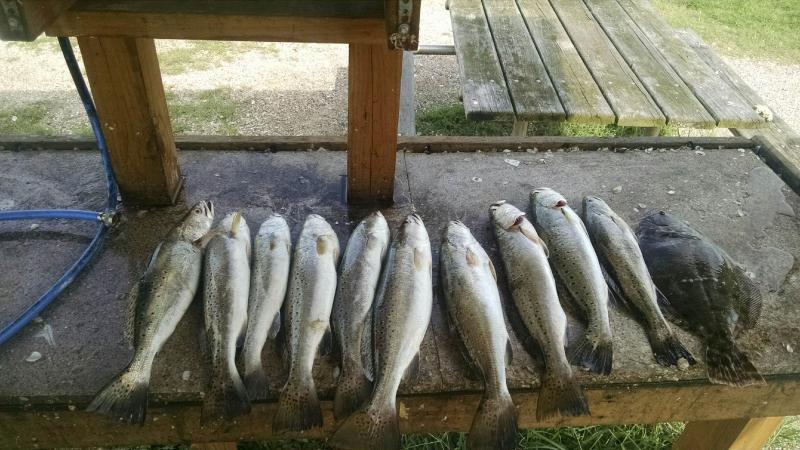 Click image for larger version

Name:	IMG_20150909_101525865.jpg
Views:	1
Size:	75.0 KB
ID:	576513