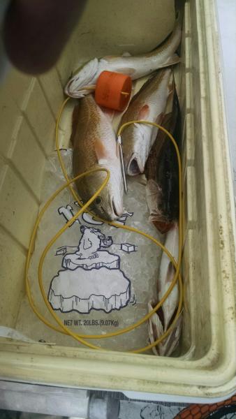 Click image for larger version

Name:	IMG_20150908_120909662.jpg
Views:	1
Size:	30.6 KB
ID:	576511