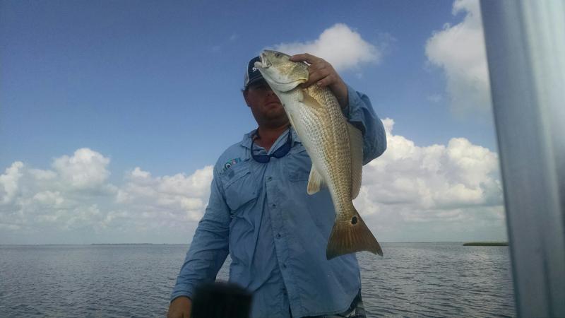 Click image for larger version

Name:	IMG_20150908_104005679.jpg
Views:	1
Size:	34.4 KB
ID:	576510