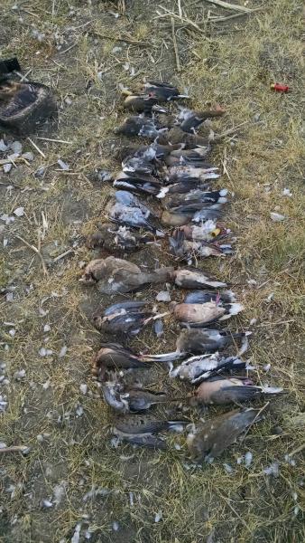 Click image for larger version

Name:	IMG_20150905_192359654.jpg
Views:	1
Size:	67.4 KB
ID:	576509