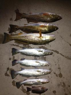 Click image for larger version

Name:	bayou3.jpg
Views:	1
Size:	38.2 KB
ID:	574670