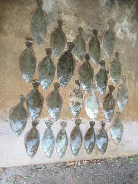 Click image for larger version

Name:	gyb6.jpg
Views:	1
Size:	49.2 KB
ID:	560331