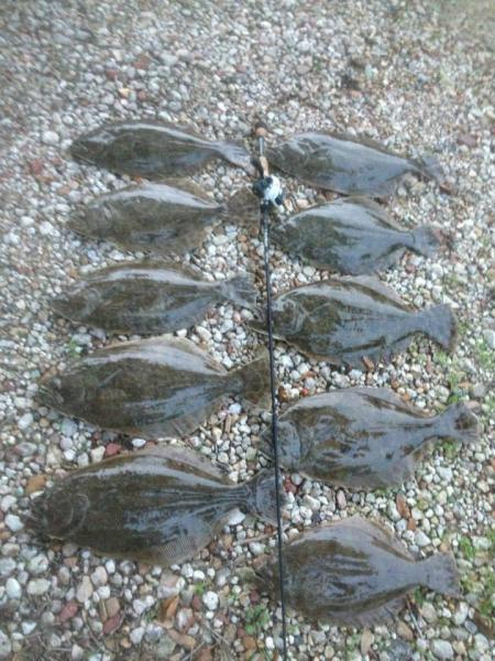 Click image for larger version

Name:	gyb3.jpg
Views:	1
Size:	64.9 KB
ID:	560328