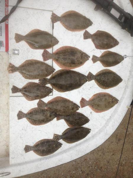 Click image for larger version

Name:	gyb2.jpg
Views:	1
Size:	42.2 KB
ID:	560327