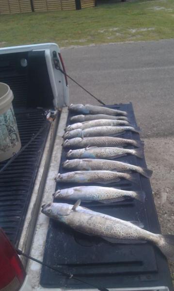 Click image for larger version

Name:	surf8101.jpg
Views:	1
Size:	29.3 KB
ID:	574572