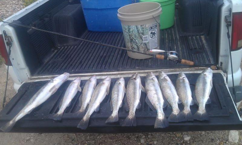 Click image for larger version

Name:	surf810.jpg
Views:	1
Size:	54.3 KB
ID:	574571