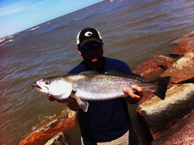 Click image for larger version

Name:	slp3.jpg
Views:	1
Size:	74.5 KB
ID:	574127