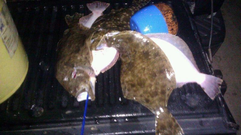 Click image for larger version

Name:	garrett fish1.jpg
Views:	1
Size:	52.1 KB
ID:	571429