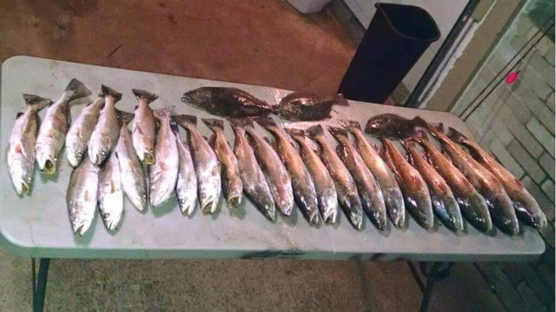 Click image for larger version

Name:	tr1.jpg
Views:	1
Size:	57.2 KB
ID:	576745