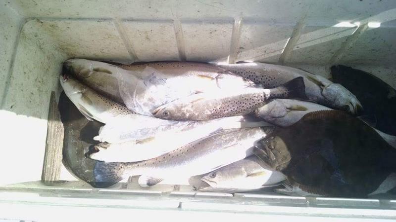 Click image for larger version

Name:	FB_IMG_1455709664635.jpg
Views:	1
Size:	46.0 KB
ID:	576753