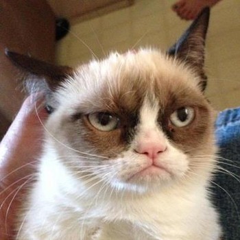 Click image for larger version

Name:	5a68513ae99ba86124610af0691fb919.jpg
Views:	1
Size:	31.5 KB
ID:	562175