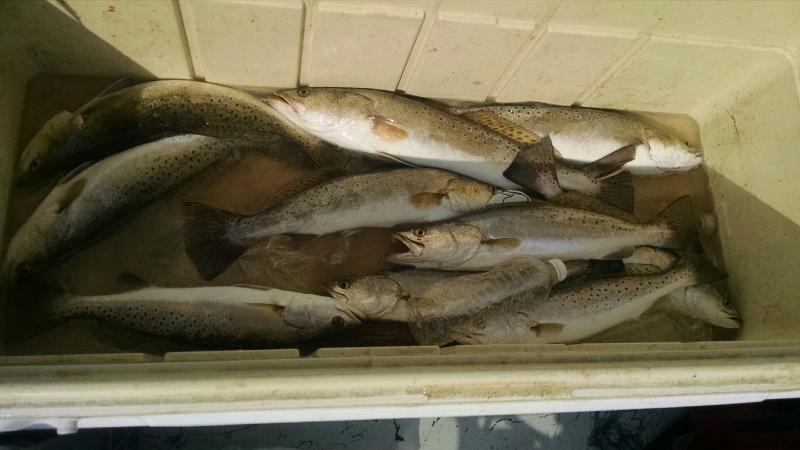 Click image for larger version

Name:	IMG_20150926_102736076.jpg
Views:	1
Size:	45.4 KB
ID:	576548