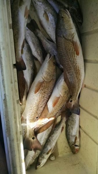 Click image for larger version

Name:	IMG_20150925_154922912.jpg
Views:	1
Size:	35.8 KB
ID:	576547