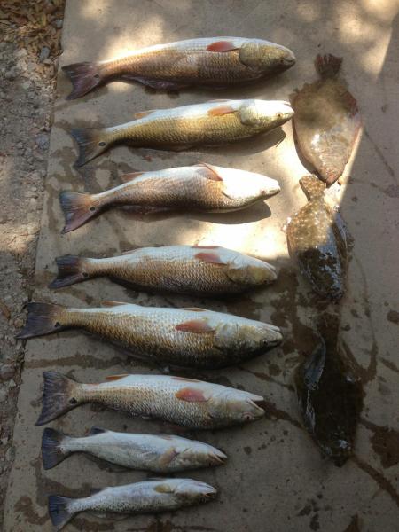 Click image for larger version

Name:	bayou5.jpg
Views:	1
Size:	45.5 KB
ID:	574672