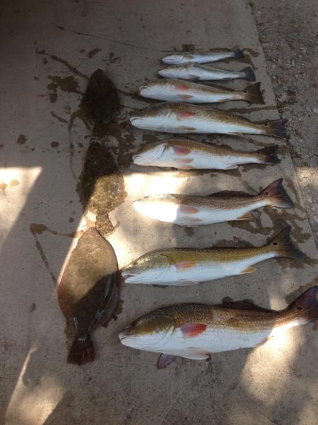 Click image for larger version

Name:	bayou4.jpg
Views:	1
Size:	38.5 KB
ID:	574671