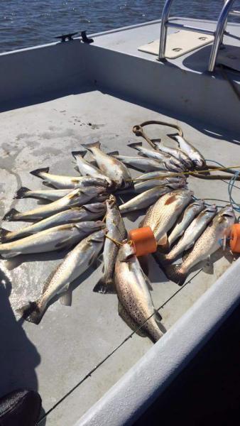 Click image for larger version

Name:	2.jpg
Views:	1
Size:	36.9 KB
ID:	562413