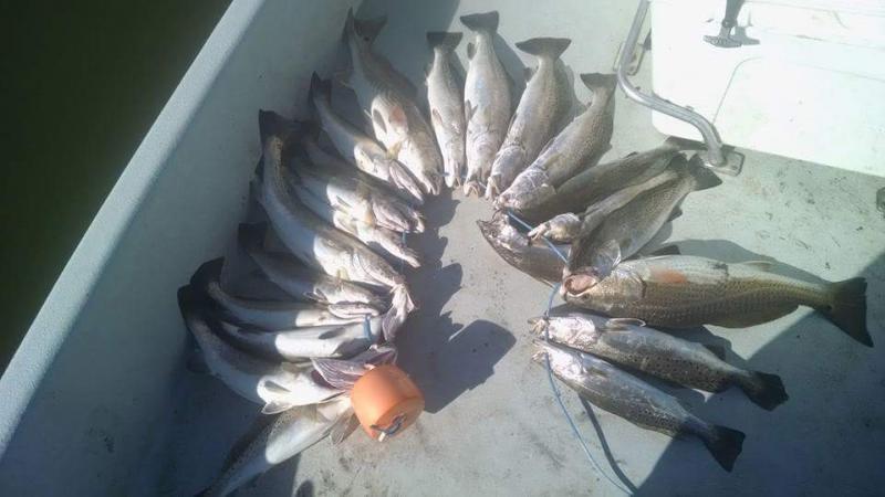 Click image for larger version

Name:	1.jpg
Views:	1
Size:	43.4 KB
ID:	562412