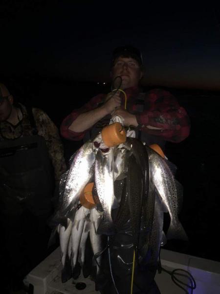 Click image for larger version

Name:	trout.jpg
Views:	1
Size:	22.4 KB
ID:	576742