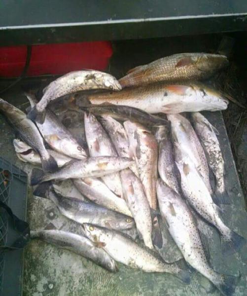 Click image for larger version

Name:	trou2.jpg
Views:	1
Size:	48.0 KB
ID:	576741