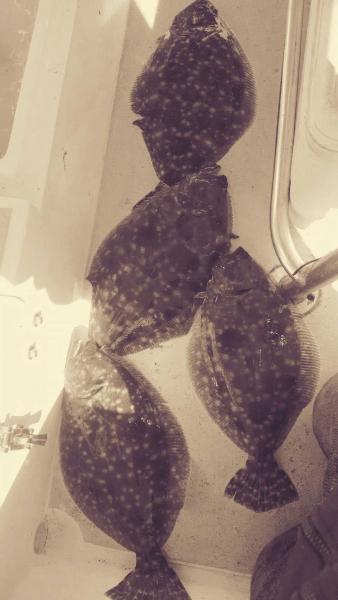 Click image for larger version

Name:	6.jpg
Views:	1
Size:	25.5 KB
ID:	576675